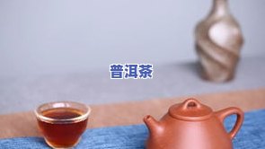 降坡泥适合泡熟普吗？全面解析其适泡性