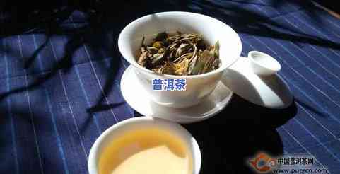 普洱茶什么类型好，探讨普洱茶的种类：哪种类型的普洱茶更好？