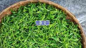 草木集茶叶是好茶吗-草木集茶叶是什么茶