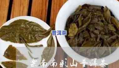 普洱茶昔归与冰岛的区别-普洱茶昔归和冰岛哪个好