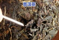 普洱茶泥鳅边：边缘发黑，如何辨别?