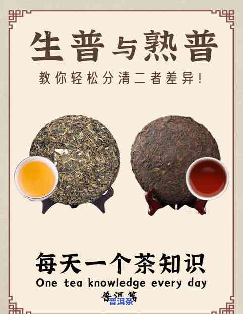 普洱茶五大类型是什么茶类，探索普洱茶的五种不同类型：熟悉这些茶类的特点和区别