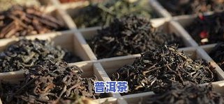 云安普洱茶-云安普洱茶主要品种