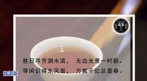 探究普洱茶的起源：它究竟来自哪里的茶？