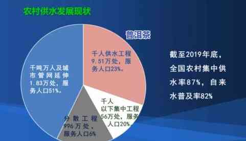 普洱茶国际化问题：挑战与应对策略