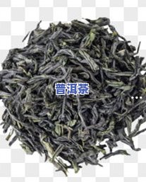 归真普洱茶价格全揭秘：最新价格表及多少钱一斤