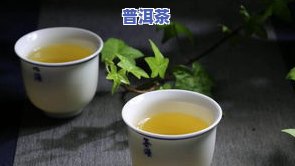 乔木茶好喝吗，探讨乔木茶的口感：你真的喜欢它吗？