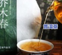 乔木茶什么口感-乔木茶什么口感更好