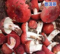 老同志老班章哪个好，比较分析：老同志和老班章普洱茶的口感与特点