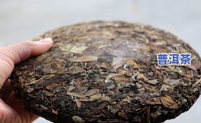 大红袍茶饼：是否值得收藏？探讨其价值与价格