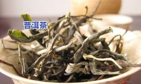 冰岛普洱茶叶子，探索冰岛的宝藏：品尝独特口感的普洱茶叶子