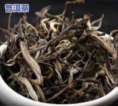 冰岛老寨普洱茶条索形状-冰岛普洱茶叶底