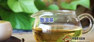 普洱茶评茶，品鉴普洱茶：详解评茶技巧与方法