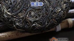 青饼与生茶有何不同？详解两者区别