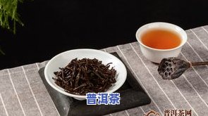 阳山名茶，探索名茶：阳山名茶的独特风味与历史