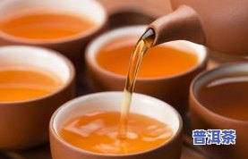 普洱茶品质特点-普洱茶品质特点有哪些