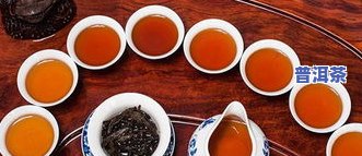 各种茶叶图片与详细介绍：茶文化的视觉与知识盛宴