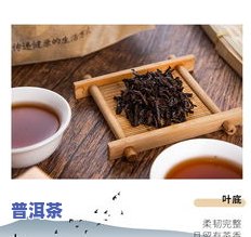 普洱茶中芽小芽是什么-普洱茶芽大好还是芽小好