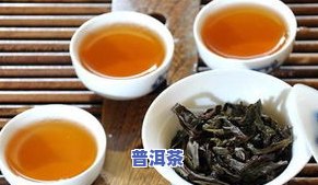 普洱茶9.9元，限时抢购！普洱茶仅售9.9元，品味正宗云南风味