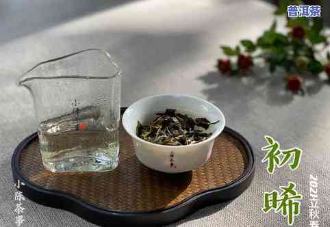 茶叶有茶毛可否饮用？是否安全？