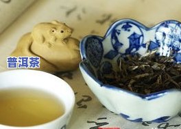 野生普洱茶有吗能喝吗，野生普洱茶是不是有？能否安全饮用？