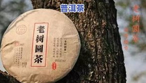 普洱茶之宝-普洱茶宝和祥价格表