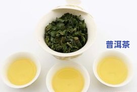 几百一斤的茶叶贵吗-几百一斤的茶叶贵吗