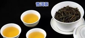 几百一斤的茶叶贵吗-几百一斤的茶叶贵吗