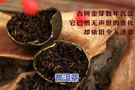 小青柑普洱茶能放几年-小青柑普洱茶能放几年吗