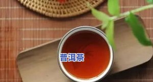 抖音普洱茶属于哪一类别？请详细说明