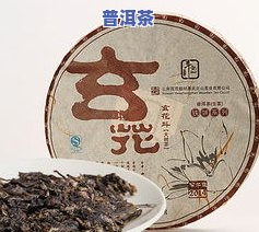 普洱茶叶网，探索普洱茶的世界：普洱茶叶网带你品味千年古韵