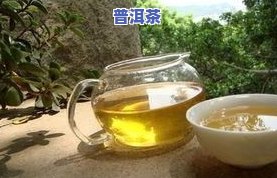 普洱茶哪产的好-普洱茶哪产的好喝