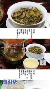 普洱茶明朝-明朝的普洱茶多少钱一斤