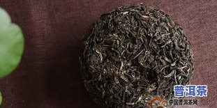 普洱茶明朝-明朝的普洱茶多少钱一斤