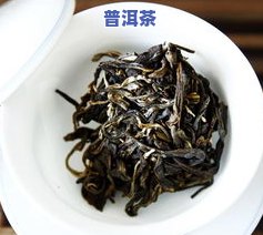 笋壳对普洱茶的功效：揭示其独特作用与影响