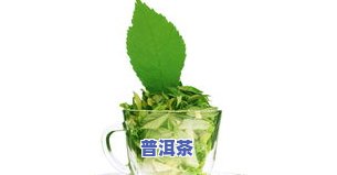 茶叶可以用来养花吗视频，茶叶废物利用：如何用剩余的茶叶水来养花？