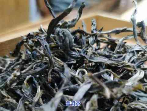 普洱茶是一道茶？为何价格如此昂贵？