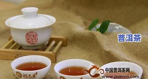 普洱茶茶号8853，探索口感丰富的普洱茶：茶号8853的品鉴之旅