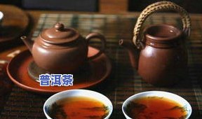 普洱茶用什么壶更好？详解选购与冲泡技巧