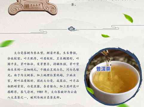 普洱茶生茶一次要放几克-普洱茶生茶一次要放几克茶叶