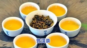 普洱茶苦味重：解析其来源及含义