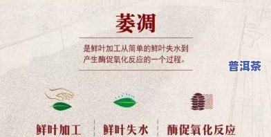 钮泰文化传播公司普洱茶价格，了解钮泰文化传播公司的优质普洱茶价格！