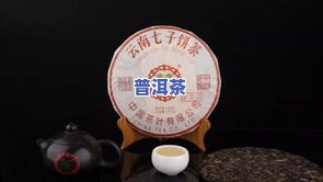 云南普洱茶标准发布：GB53/103正式实施