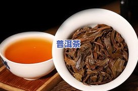 西 *** 如何评价普洱茶？