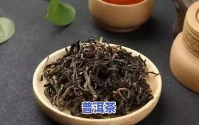 滇茶与普洱茶：有何区别？