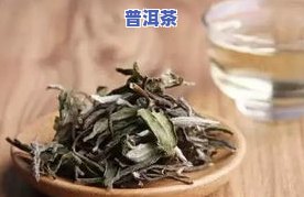 云南老白茶属于什么茶？详解其类别与品种