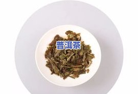 云南老白茶的特点、功效全面解析