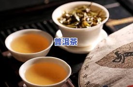 邦木普洱茶：特点与口感全解析