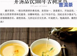 昔归和冰岛普洱茶区别，探秘昔归与冰岛普洱茶：口感、产地及冲泡方法的差异