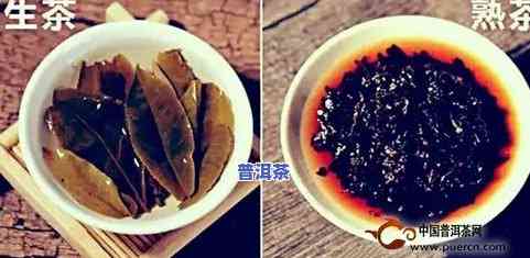 什么人适合喝普洱生茶，揭秘适宜人群：普洱生茶的饮用建议